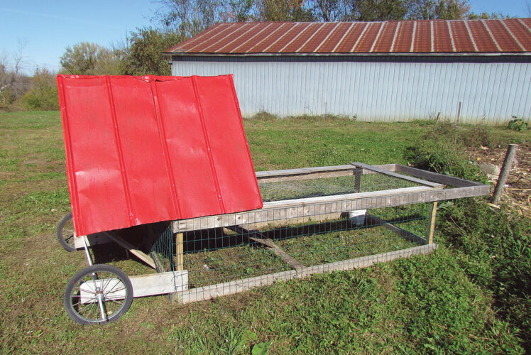 DIY Chicken Tractor Plans for Pastured Poultry